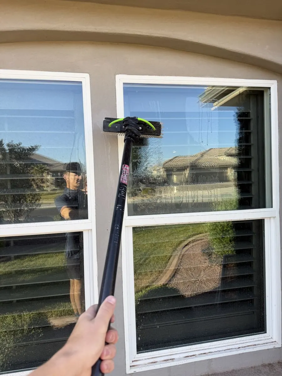 Window cleaned near a potted palm