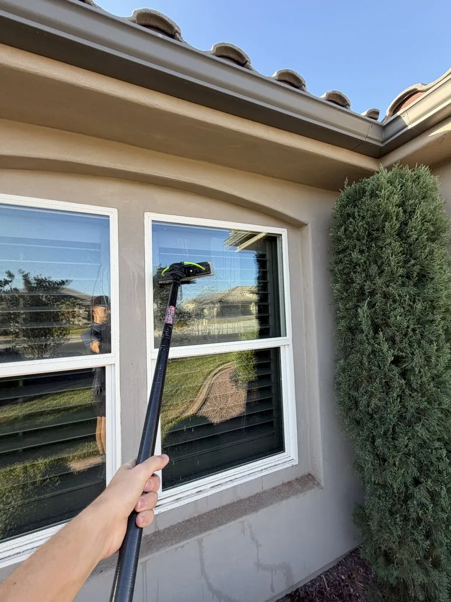 Double-hung window cleaned near an evergreen tree